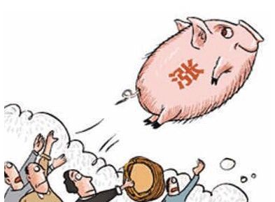 国常会：确定稳定生猪生产和猪肉保供稳价措施