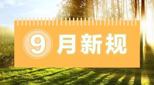 事关车子、票子、孩子！9月一大波新规开始实施